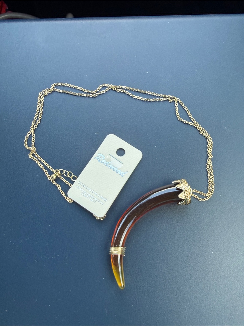Gold-Tone Chain Necklace with Amber Horn Pendant (Fashion Jewelry)
